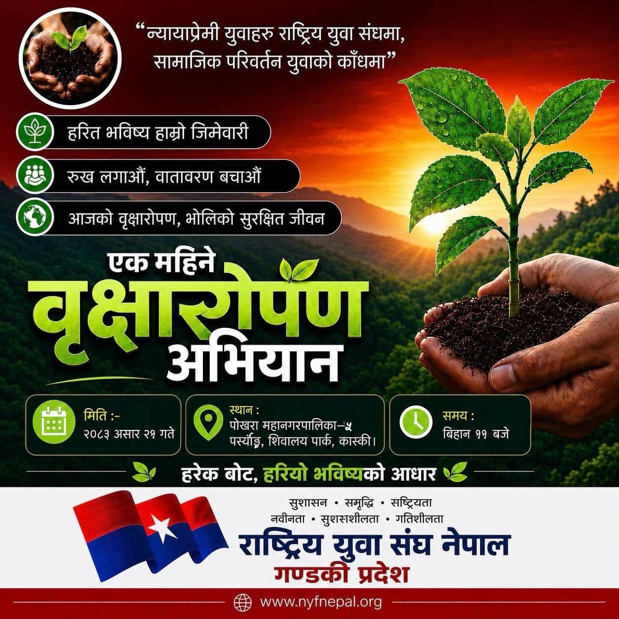 Tree Plantation
